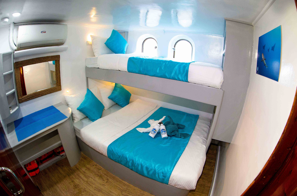 standard cabine
